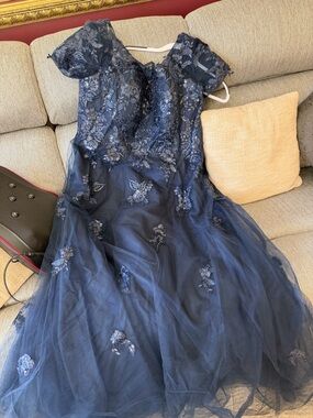 NWT Plus Size Navy Blue Tulle Dress